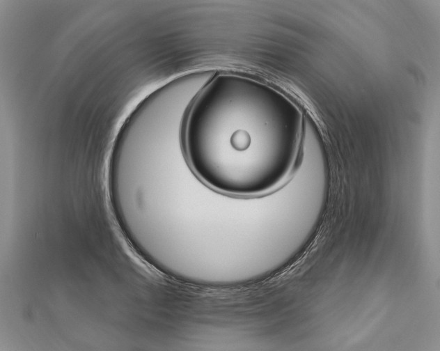 X0000112461128200908311324