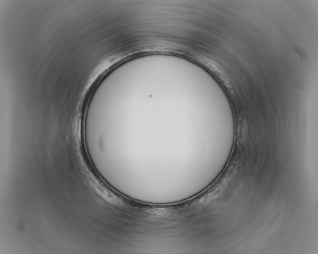 X0000112461130200908311324