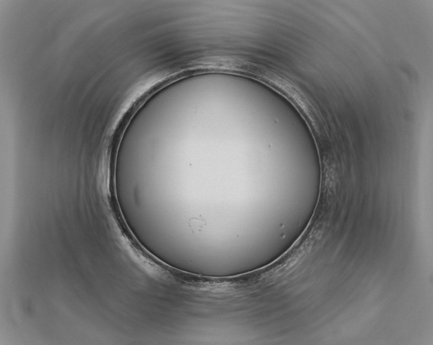 X0000112461131200908311324