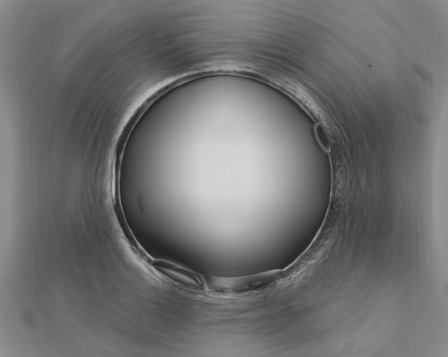 X0000112461132200908311324