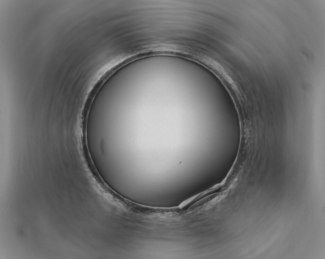 X0000112461133200908311324