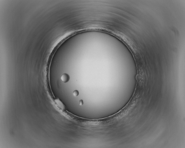 X0000112461134200908311324