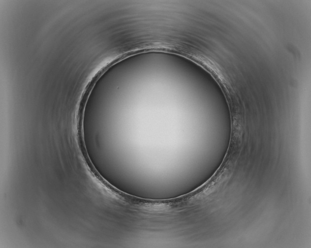 X0000112461135200908311324