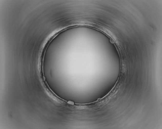 X0000112461136200908311324