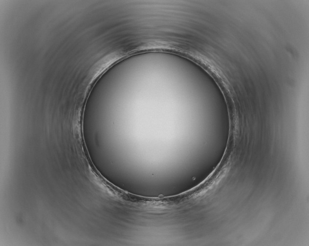 X0000112461137200908311324