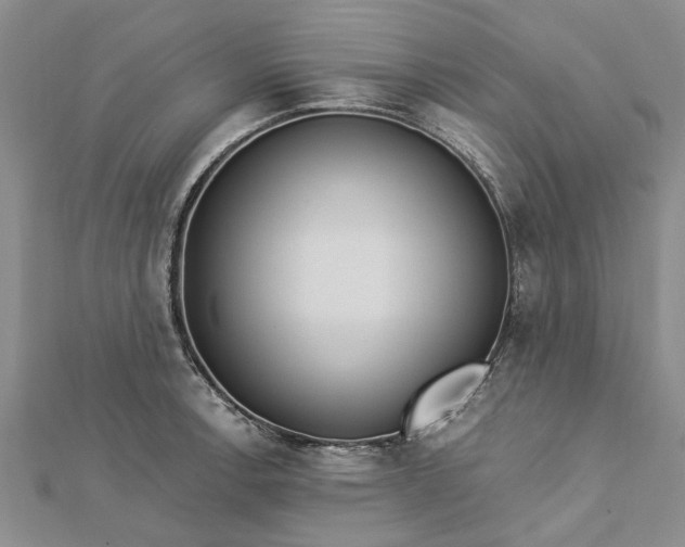 X0000112461138200908311324