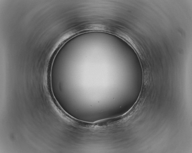 X0000112461139200908311324