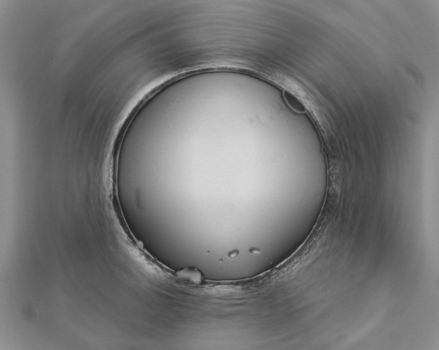 X0000112461140200908311324