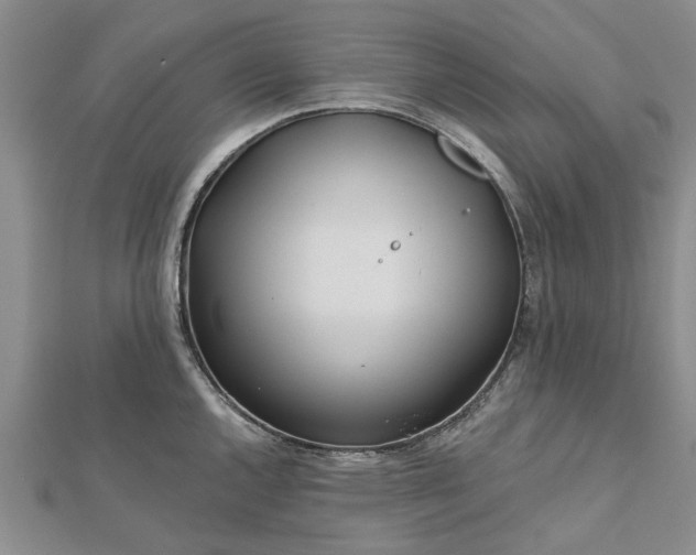 X0000112461144200908311324