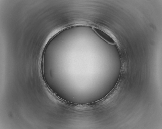 X0000112461146200908311324