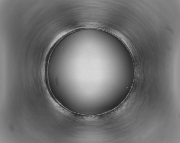 X0000112461147200908311324