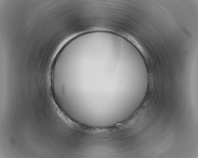 X0000112461148200908311324