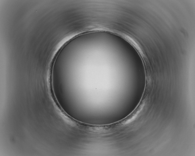 X0000112461149200908311324