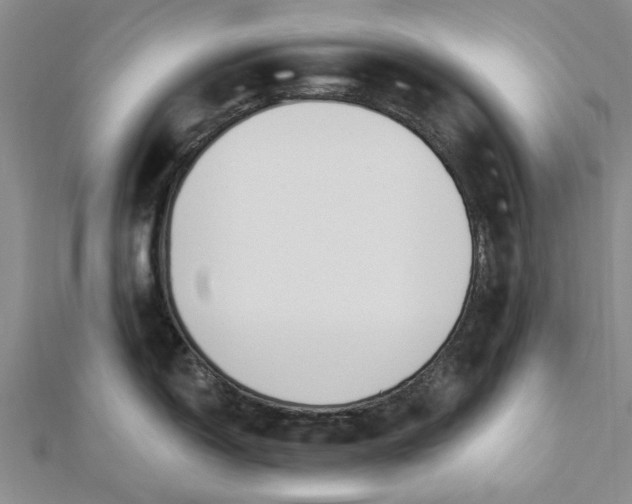 X0000112461150200908311324