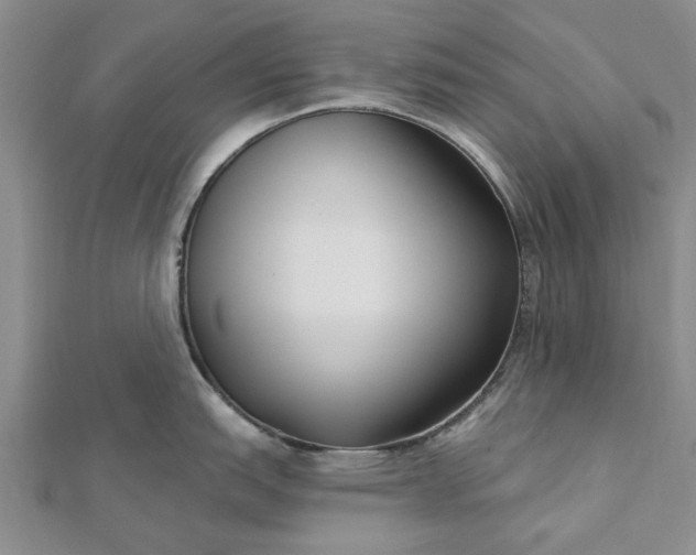 X0000112461151200908311324