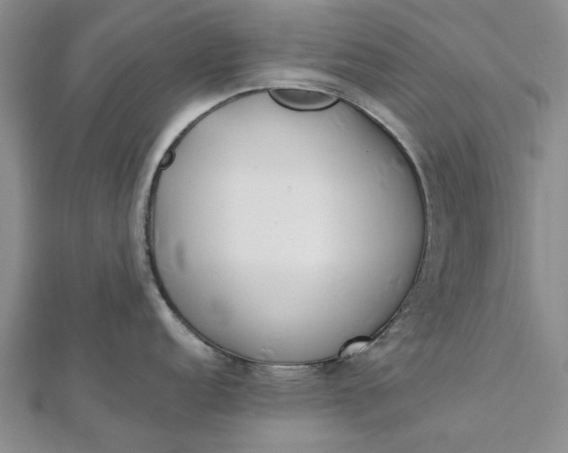 X0000112461152200908311324