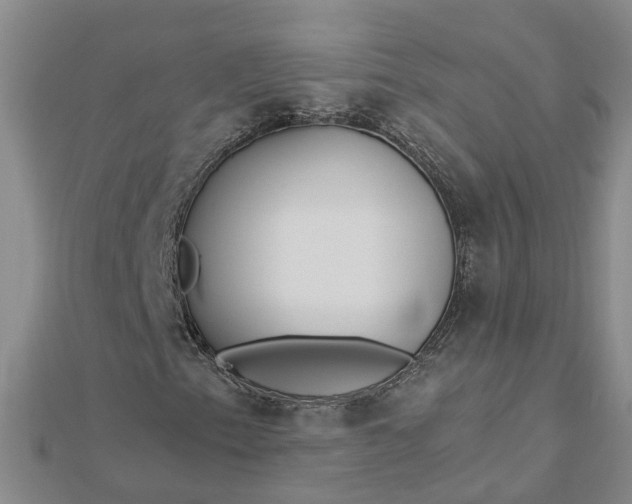 X0000112461153200908311323