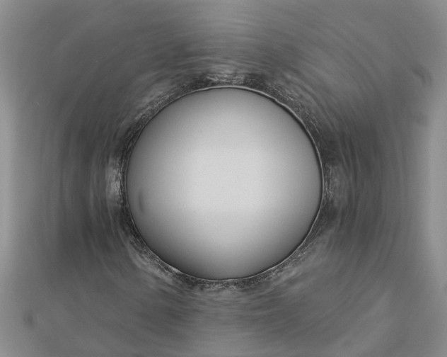 X0000112461154200908311323