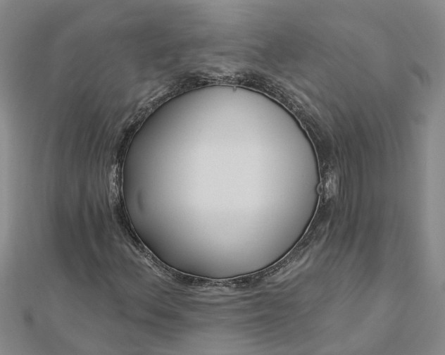 X0000112461156200908311323