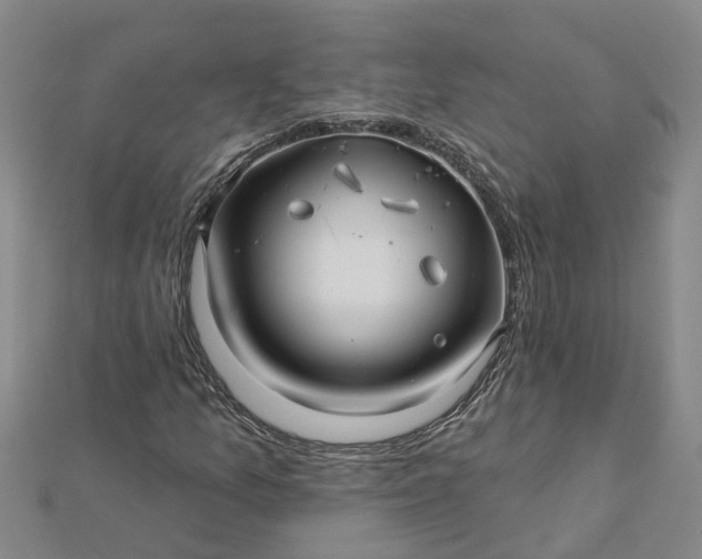 X0000112461157200908311323