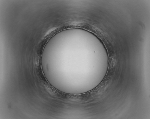 X0000112461158200908311323