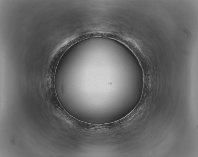 X0000112461159200908311323