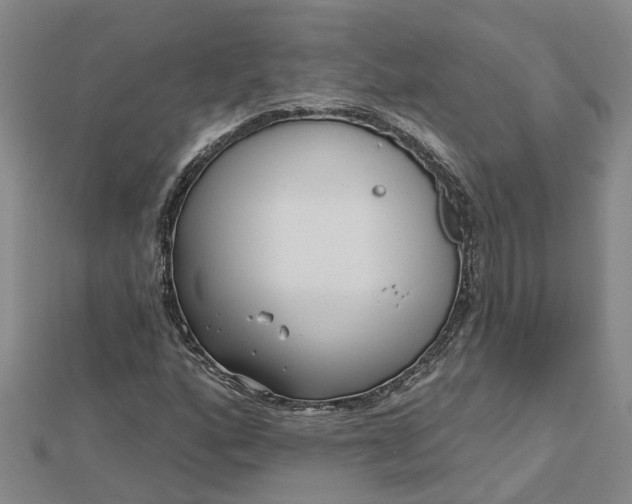 X0000112461160200908311323