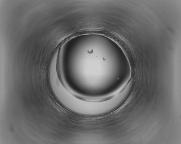 X0000112461161200908311323