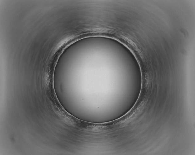 X0000112461163200908311323