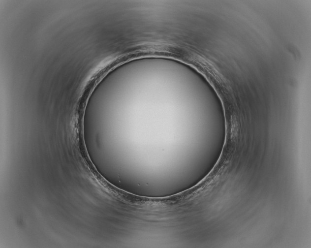 X0000112461164200908311323