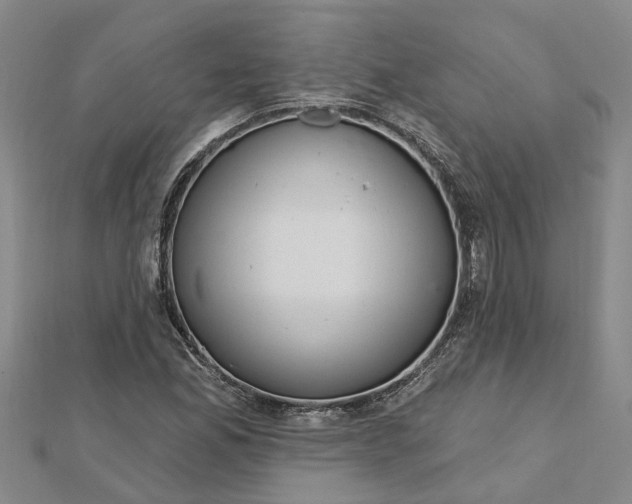 X0000112461165200908311323