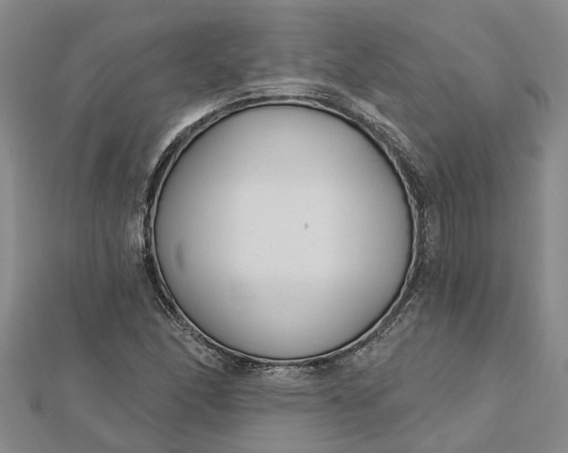 X0000112461166200908311323