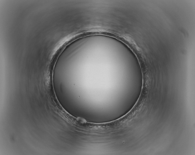 X0000112461167200908311323