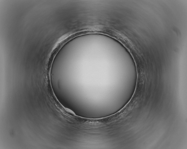 X0000112461168200908311323