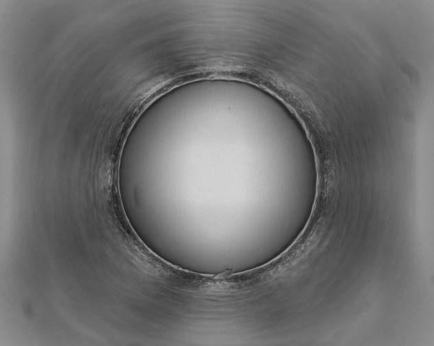 X0000112461169200908311323