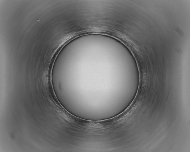 X0000112461170200908311323