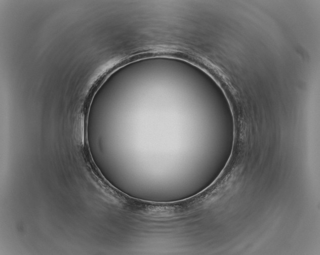 X0000112461171200908311323