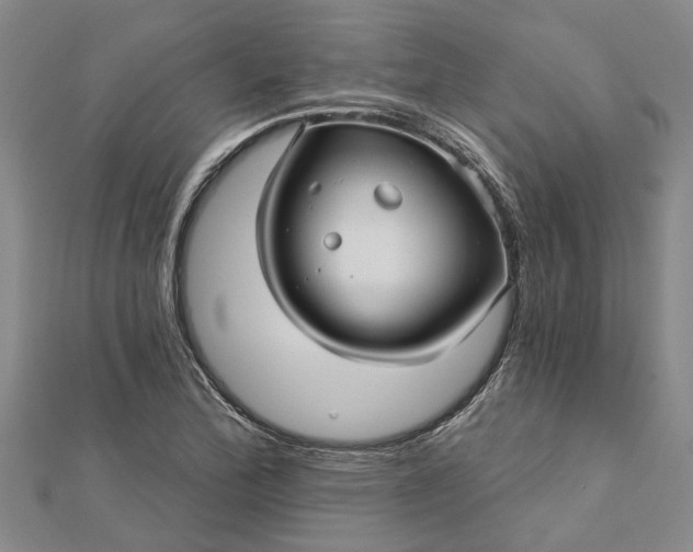 X0000112461172200908311323