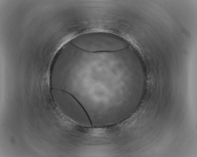 X0000112461173200908311323