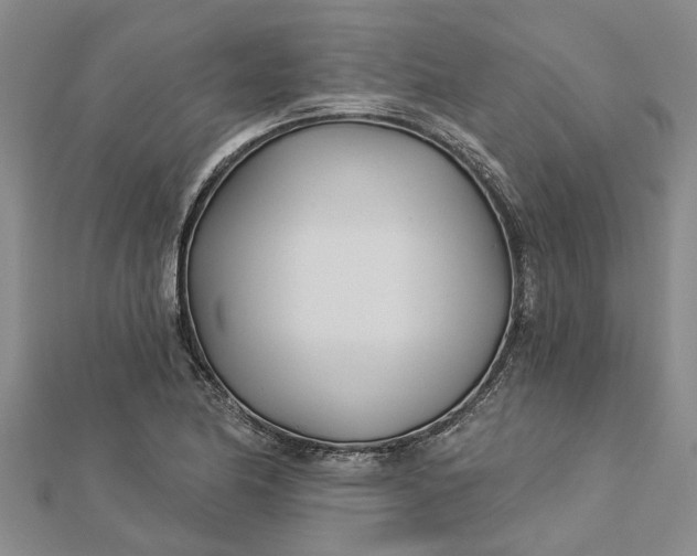 X0000112461174200908311323