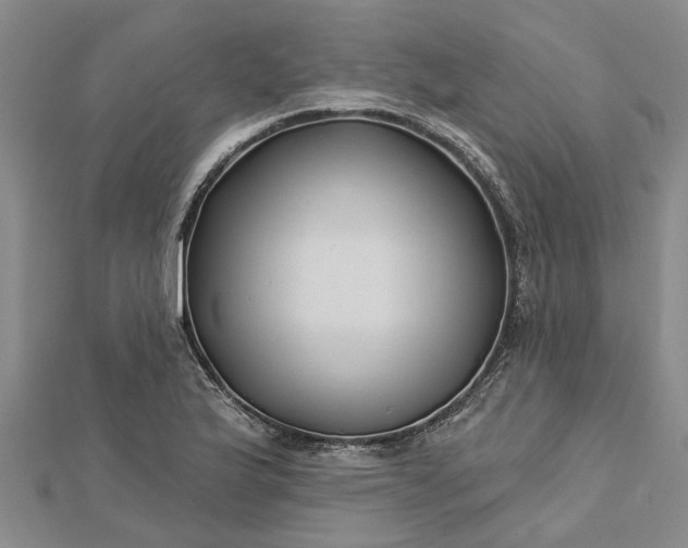 X0000112461175200908311323