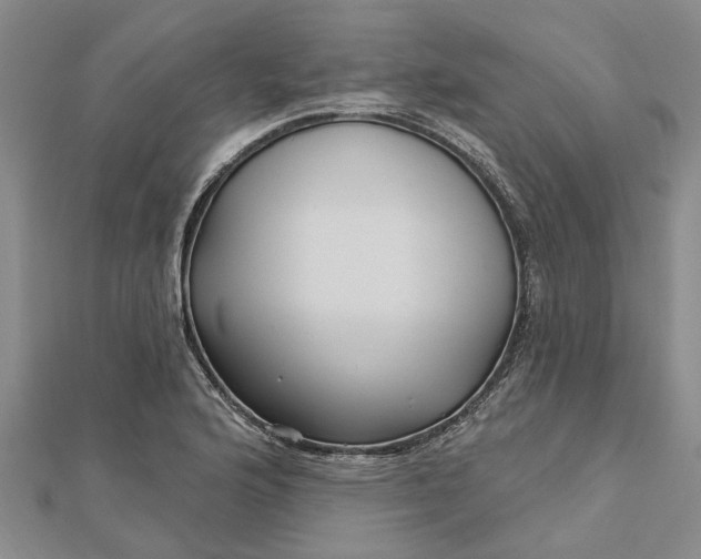 X0000112461176200908311323