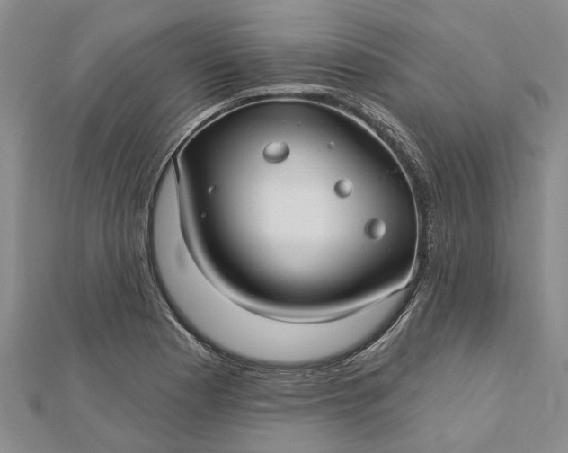 X0000112461177200908311323