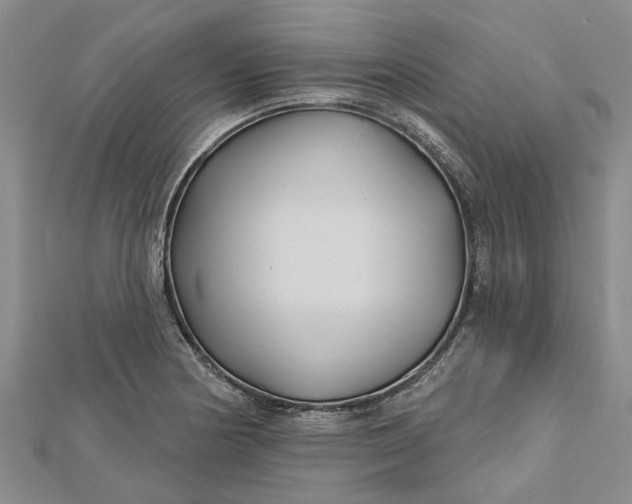 X0000112461178200908311323