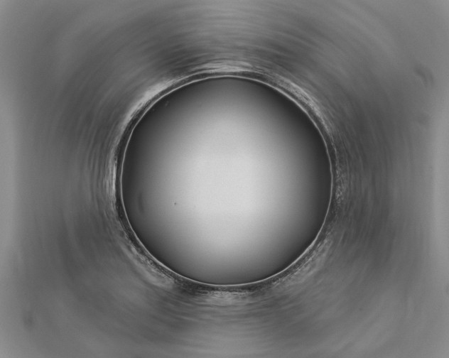 X0000112461179200908311323