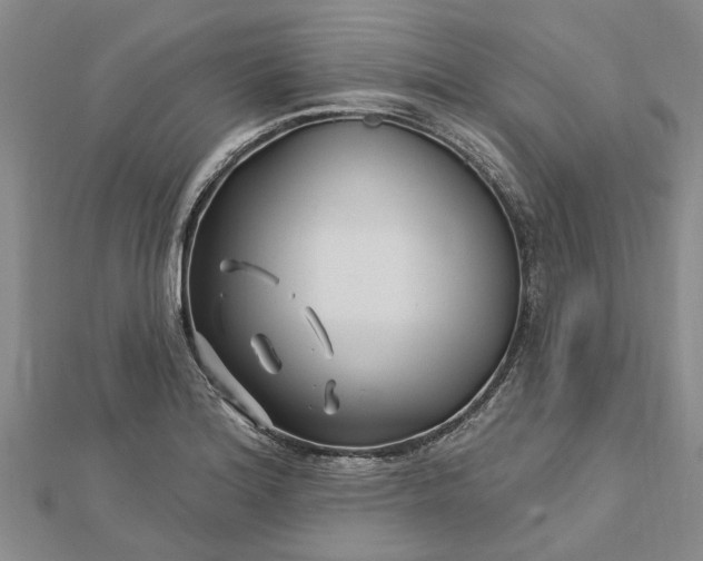 X0000112461180200908311323