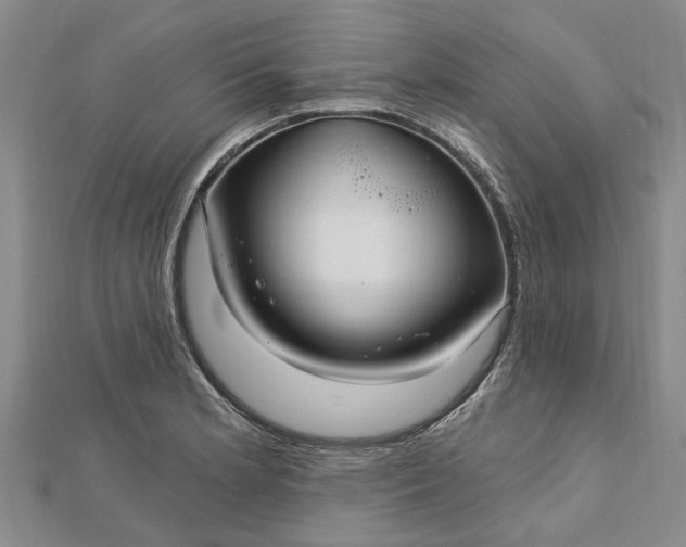 X0000112461181200908311323