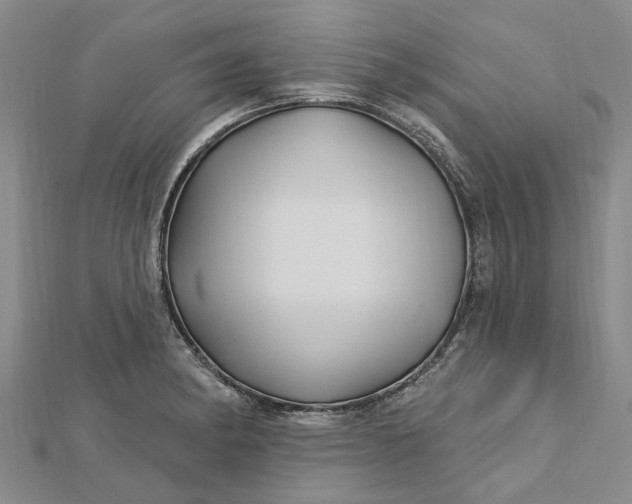 X0000112461182200908311323