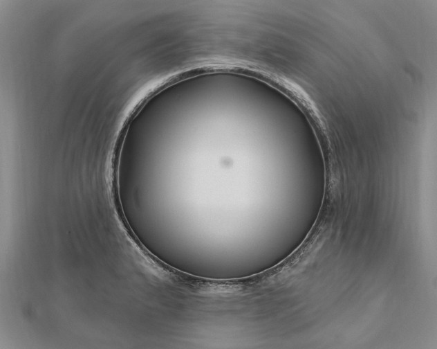 X0000112461183200908311323