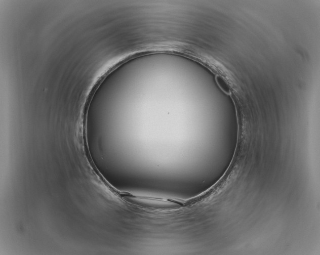 X0000112461184200908311323